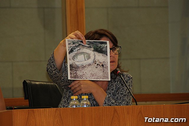 Pleno ordinario septiembre 2017 - 40