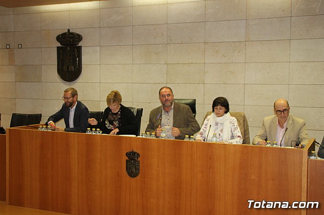 Pleno ordinario Noviembre 2018 - 1