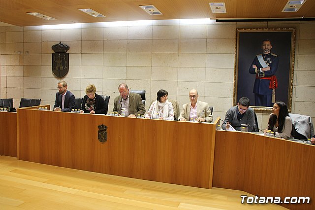 Pleno ordinario Noviembre 2018 - 3