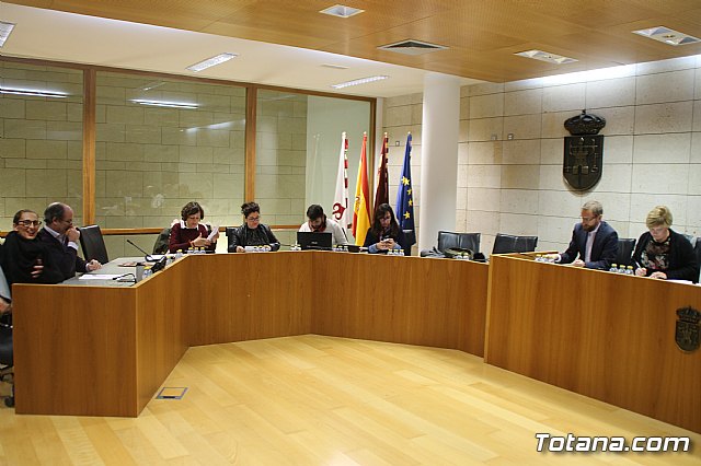 Pleno ordinario Noviembre 2018 - 4