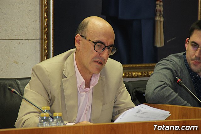 Pleno ordinario Noviembre 2018 - 5