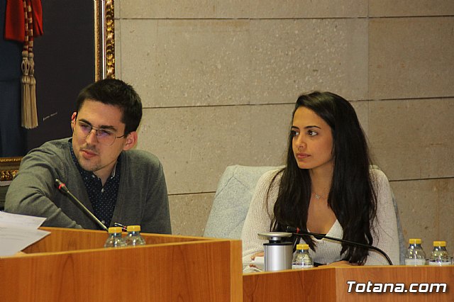 Pleno ordinario Noviembre 2018 - 6