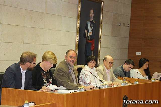 Pleno ordinario Noviembre 2018 - 8