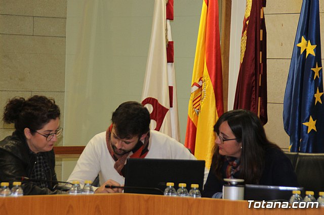 Pleno ordinario Noviembre 2018 - 9