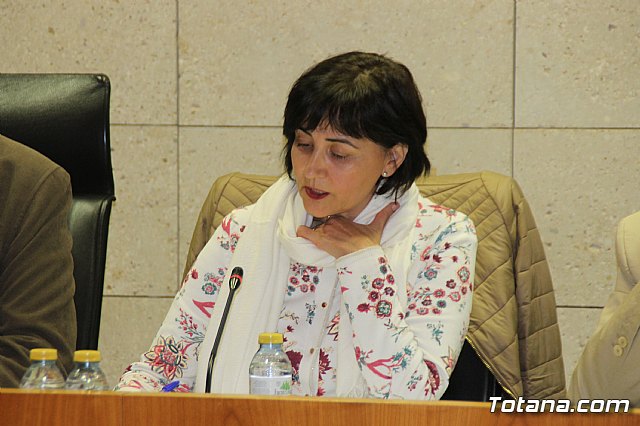 Pleno ordinario Noviembre 2018 - 10