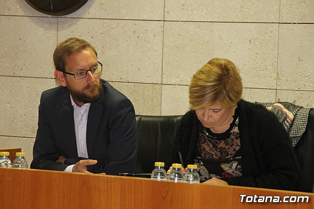 Pleno ordinario Noviembre 2018 - 11