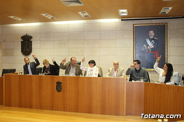 Pleno ordinario Noviembre 2018 - 12