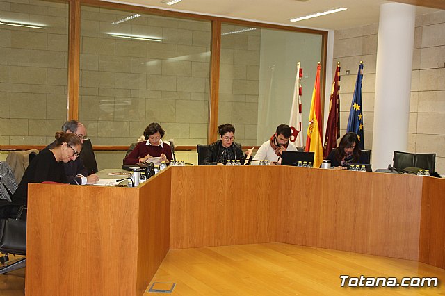 Pleno ordinario Noviembre 2018 - 13