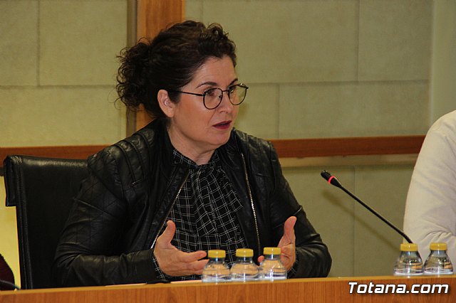 Pleno ordinario Noviembre 2018 - 15