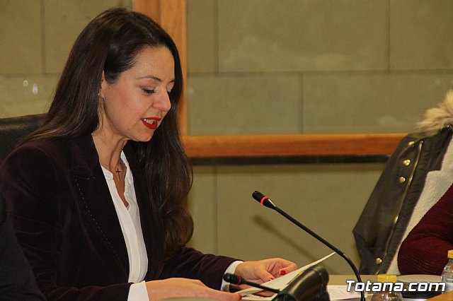 Pleno ordinario Noviembre 2018 - 16