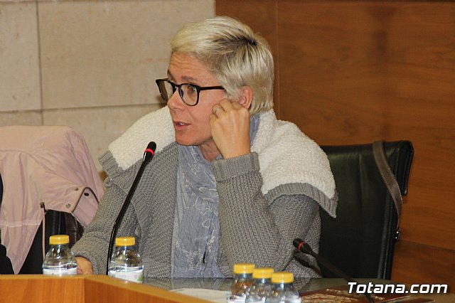 Pleno ordinario Noviembre 2018 - 17