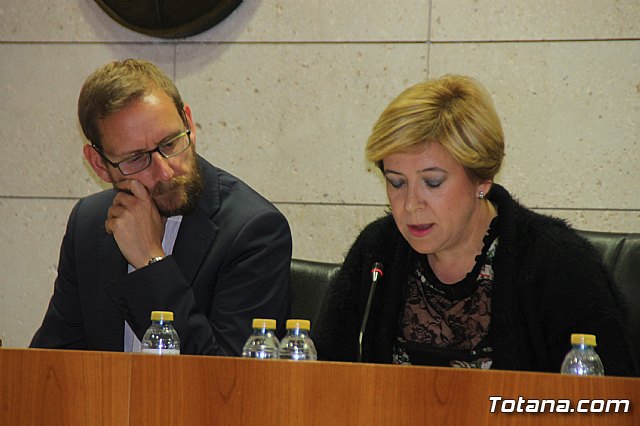 Pleno ordinario Noviembre 2018 - 18