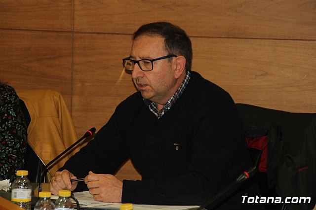 Pleno ordinario Noviembre 2018 - 19