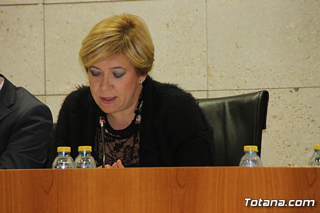 Pleno ordinario Noviembre 2018 - 20