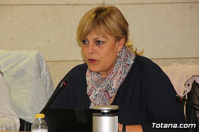 Pleno ordinario Noviembre 2018 - 22