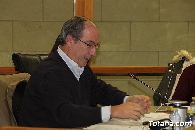 Pleno ordinario Noviembre 2018 - 25