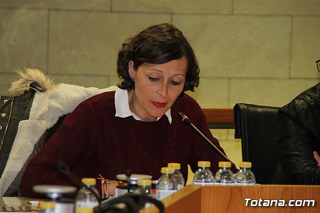 Pleno ordinario Noviembre 2018 - 26