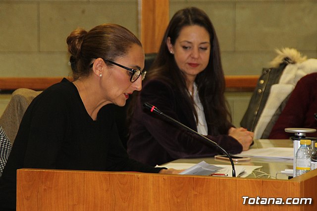 Pleno ordinario Noviembre 2018 - 29