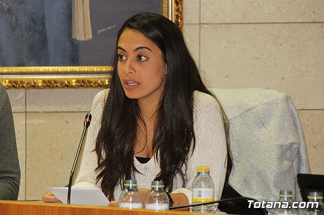 Pleno ordinario Noviembre 2018 - 31