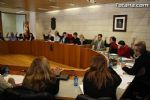 Pleno diciembre 2011