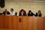 Pleno diciembre 2011