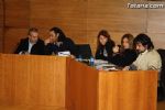 Pleno diciembre 2011