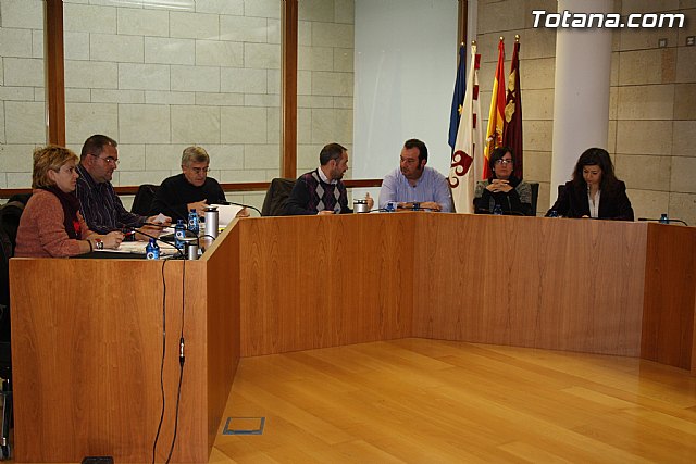 Pleno ordinario diciembre 2011 - 6