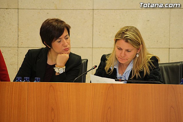 Pleno ordinario diciembre 2011 - 12