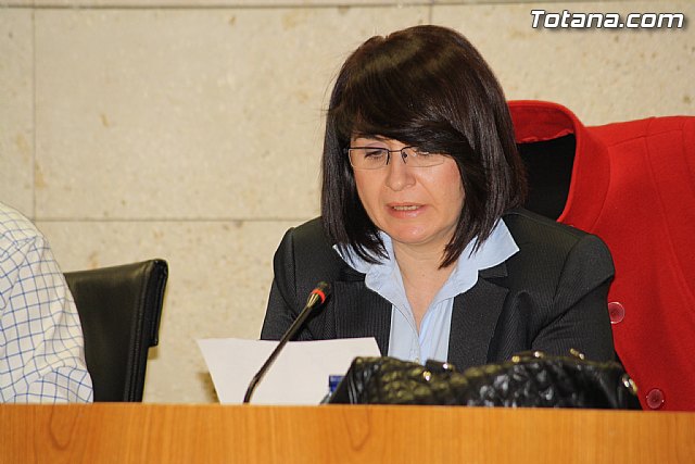 Pleno ordinario diciembre 2011 - 13