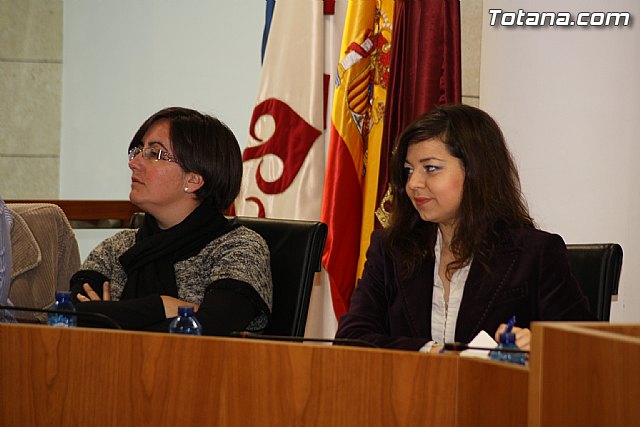 Pleno ordinario diciembre 2011 - 16