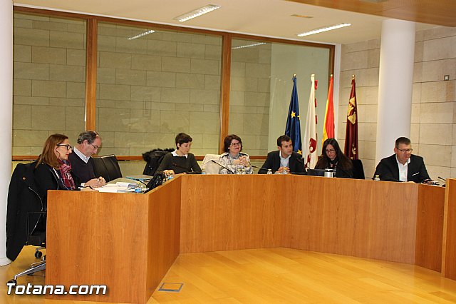 Pleno ordinario Diciembre 2016 - 3