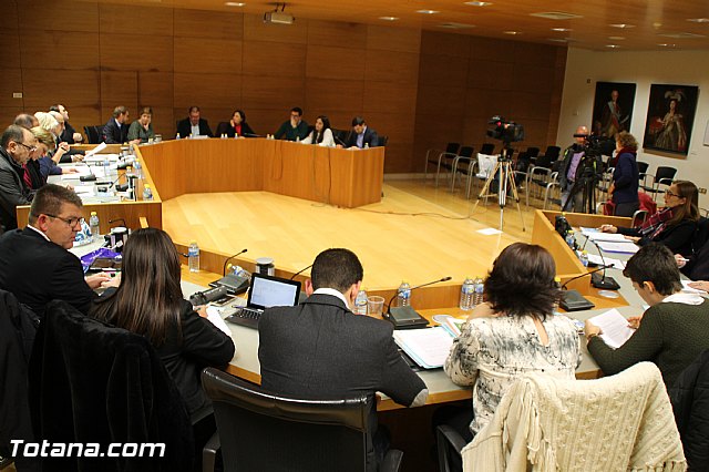 Pleno ordinario Diciembre 2016 - 9