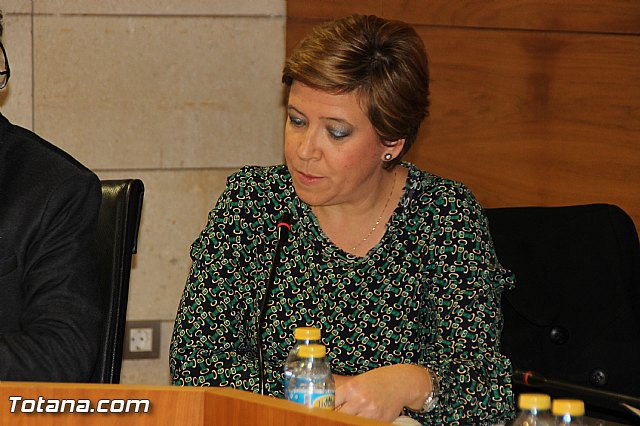 Pleno ordinario Diciembre 2016 - 10