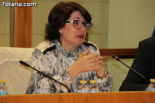 Pleno ordinario Diciembre 2016 - 13