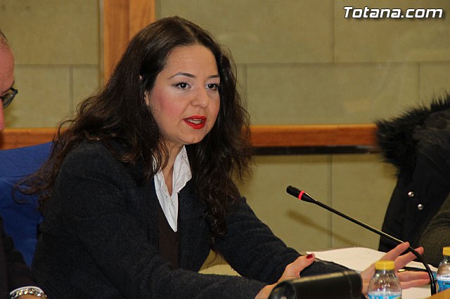 Pleno ordinario Diciembre 2016 - 16