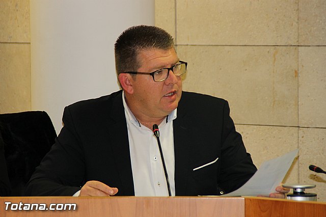 Pleno ordinario Diciembre 2016 - 19