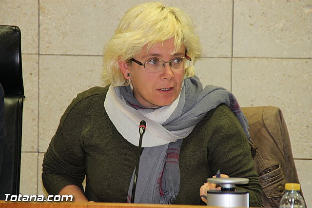 Pleno ordinario Diciembre 2016 - 23