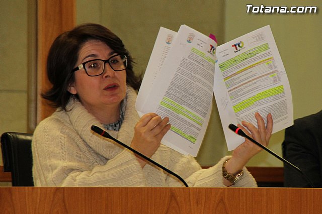 Pleno ordinario Diciembre 2016 - 28