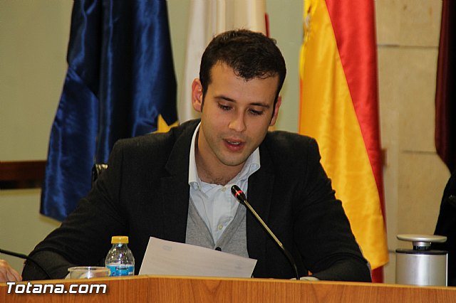 Pleno ordinario Diciembre 2016 - 29