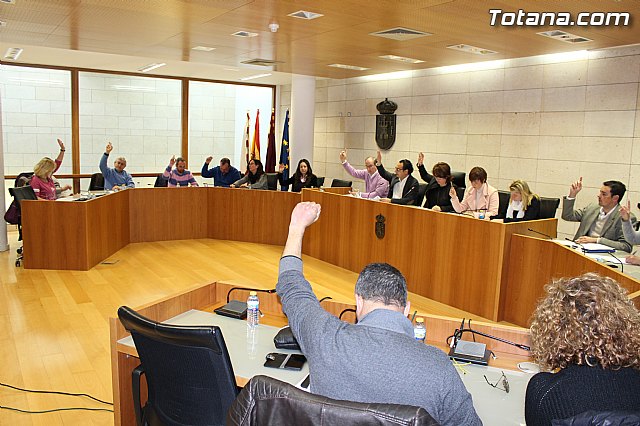 Pleno ordinario enero 2015 - 1