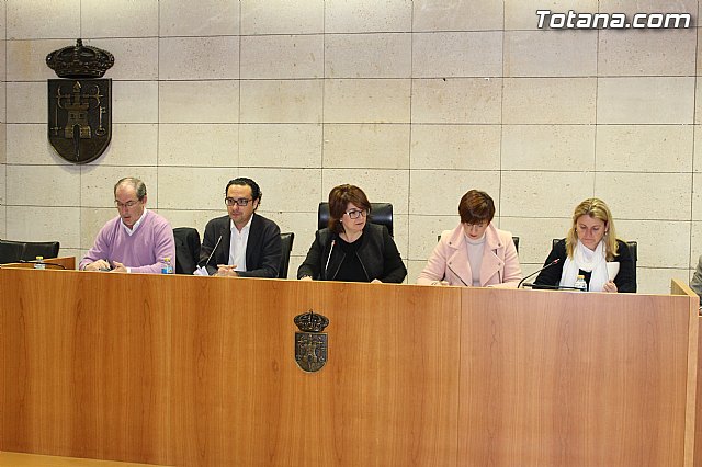 Pleno ordinario enero 2015 - 2
