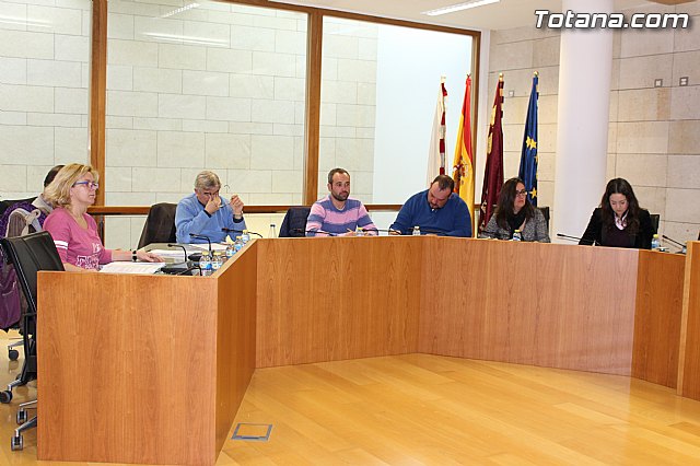 Pleno ordinario enero 2015 - 3