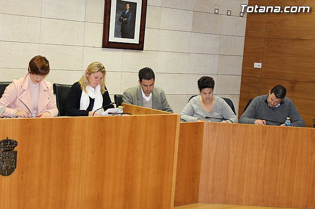 Pleno ordinario enero 2015 - 5