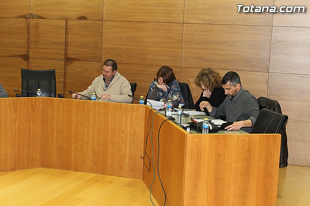 Pleno ordinario enero 2015 - 6