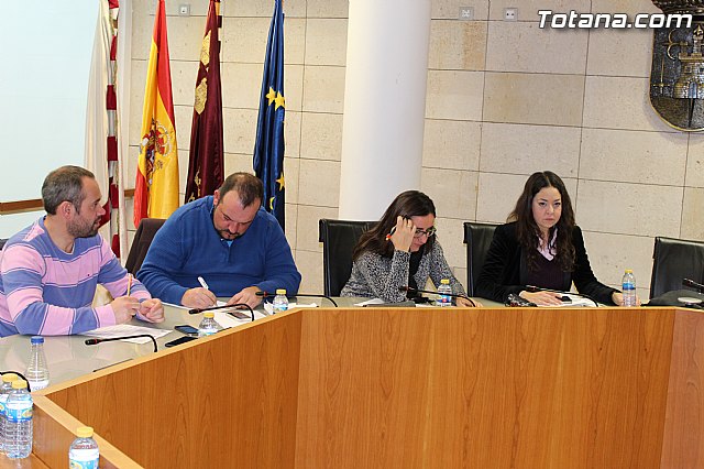 Pleno ordinario enero 2015 - 7