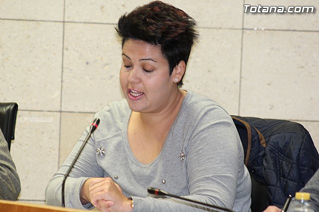 Pleno ordinario enero 2015 - 9