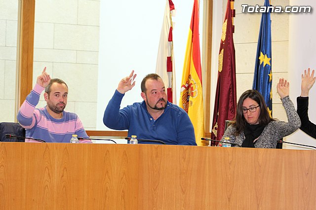 Pleno ordinario enero 2015 - 13