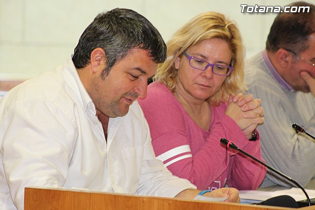 Pleno ordinario enero 2015 - 14