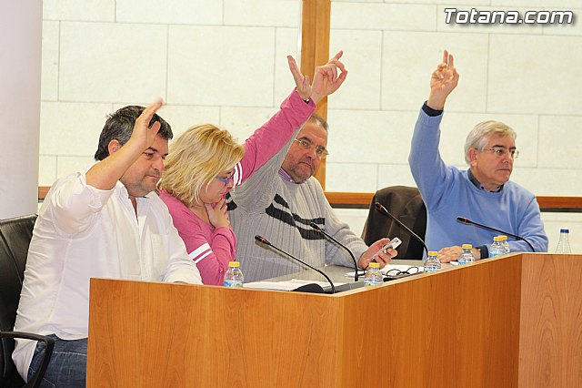 Pleno ordinario enero 2015 - 16