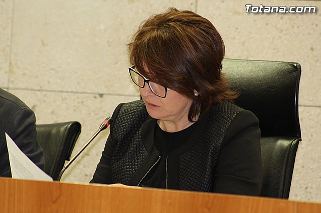 Pleno ordinario enero 2015 - 17